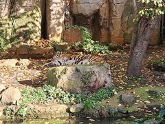 20221030_132937.jpg