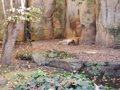 20221030_132940.jpg