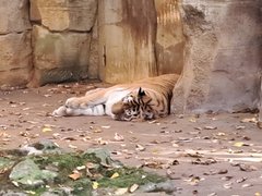 20221030_132950.jpg
