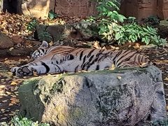 20221030_132959.jpg