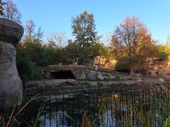 20221030_155334.jpg
