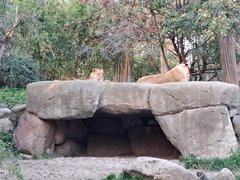 20221030_155343.jpg