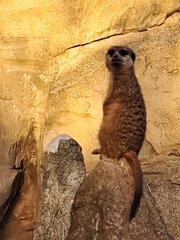 20221030_160149.jpg