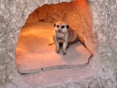 20221030_160313.jpg