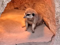 20221030_160330.jpg