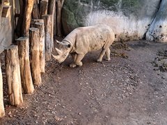 20221030_161515.jpg