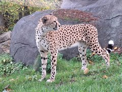 20221030_162109.jpg