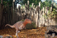 Dino11.jpg