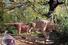 Dino8.jpg