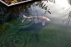 P1110144-small.jpg