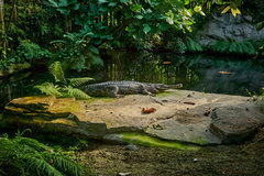 P1110158-small.jpg