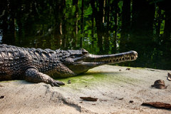 P1110160-small.jpg