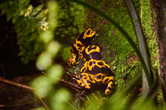 P1110181-small.jpg