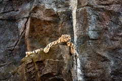 P1110182-small.jpg