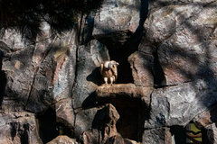 P1110197-small.jpg