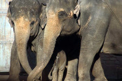 Zoo10.jpg