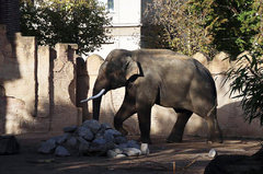 Zoo12.jpg