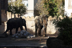Zoo13.jpg