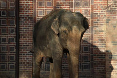 Zoo14.jpg