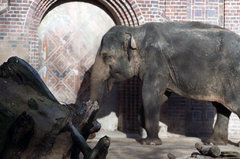 Zoo15.jpg