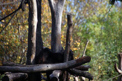 Zoo18.jpg