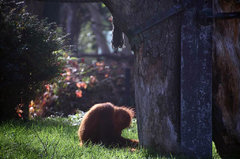 Zoo19.jpg