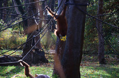 Zoo21.jpg