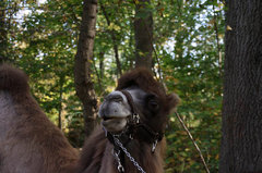 Zoo26.jpg
