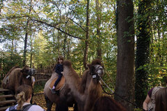 Zoo27.jpg
