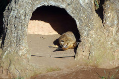 Zoo39.jpg