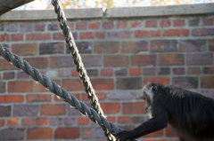 Zoo42.jpg
