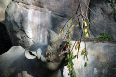 Zoo47.jpg