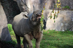 Zoo48.jpg