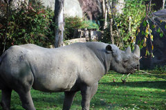 Zoo52.jpg
