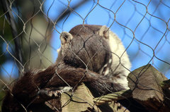 Zoo64.jpg