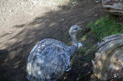 Zoo67.jpg