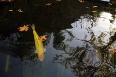Zoo2.jpg