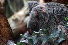 Zoo3.jpg