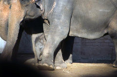 Zoo8.jpg