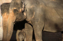 Zoo9.jpg