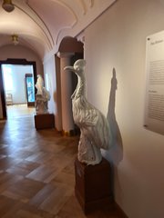 20230618_094138.jpg
