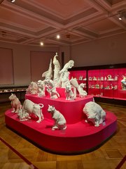 20230618_094144.jpg