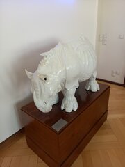 20230618_100246.jpg