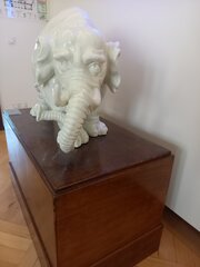 20230618_100307.jpg