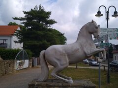 IMG_20230617_105341.jpg