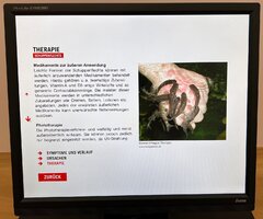 Schuppenflechte – Therapie