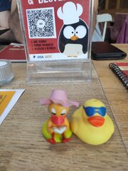 IMG_20250516_160850.jpg