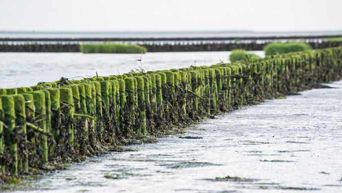 Urlaub an der Nordsee