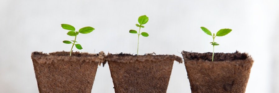 Phytodolor bei Psoriasis arthritis – kennt das jemand?