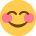 :tw_blush: